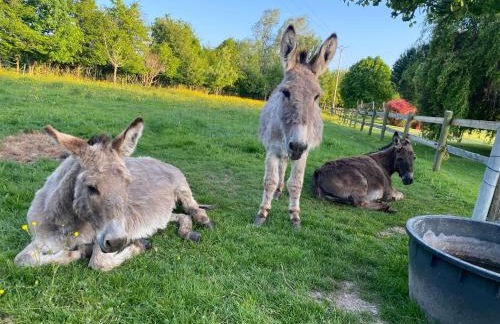 Appartement entre terre et mer à proximité de Honfleur - Photo 10