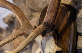 2 Bed in Pwllheli oc-wag303 - Foto 19