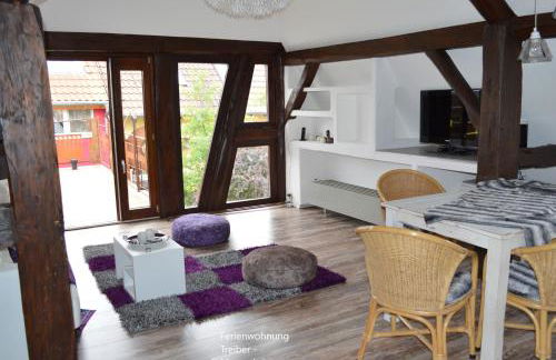 Ferienwohnungen Treiber in Eggenstein-Leopoldshafen - Nähe KIT Campus Nord und Karlsruhe - Foto 3