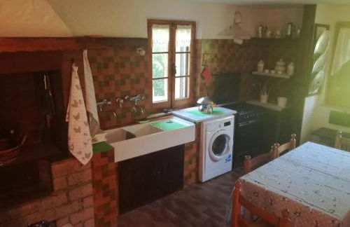 Boschetto sul mare - Foto 12