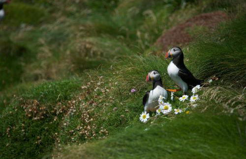 Torloisk House - Foto 46