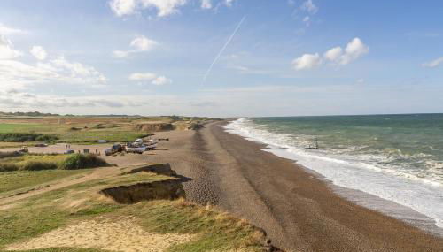 Woodpecker - Photo 5