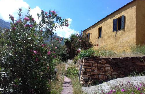 Ikarian Centre - Accommodation & mountain hiking - Photo 1