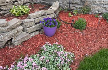 Cozy Cape Cod - Foto 22