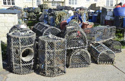 Westpoint Dog Friendly Apartments - Foto 25