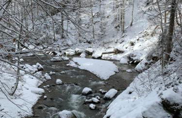 Ferienwohnung "Am Mittag" - Foto 29