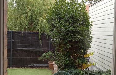 Rêve d'été Bray-dunes - Foto 7