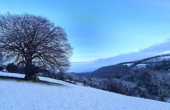 Paradise Position on Exmoor National Park - Foto 10