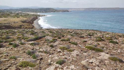 Neromilos Agia Fotia Sitia - Foto 2