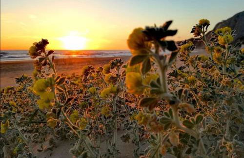 Casetta Marconi....tra mare e storia! - Foto 30