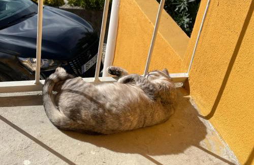 Vivenda Mateus, Granjal - Foto 14