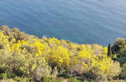 Seaview house, close Cannes, pool, garden. garage - Foto 20