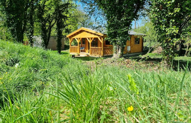 Glyndwr Vineyard - Foto 39