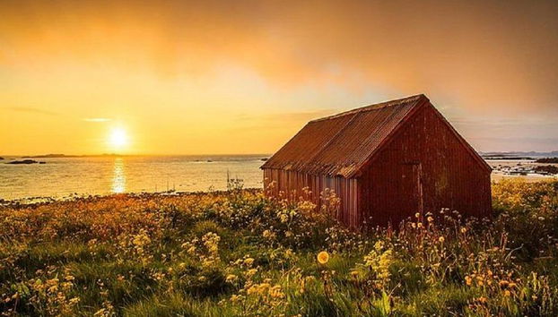 Pacchetto di 2 giorni: Estate alle Isole Lofoten - Tour per piccoli gruppi - Foto 3