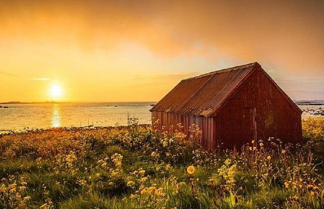 2-Tages-Paket: Sommer auf den Lofoten - Kleingruppentour - Foto 3