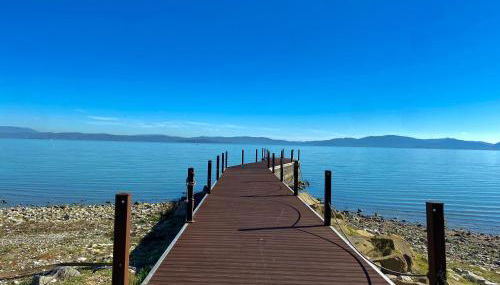 La Gatta sul Tetto - Foto 2