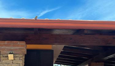 Villa Oasi dei Fenicotteri - Photo 4