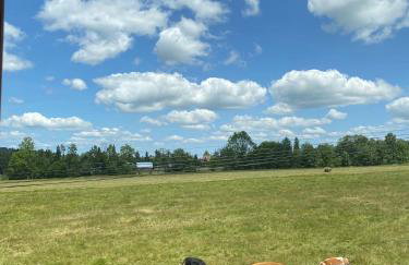 Apartament Pod Ostryszem - Foto 20