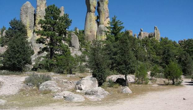 Creel Tour - Photo 5