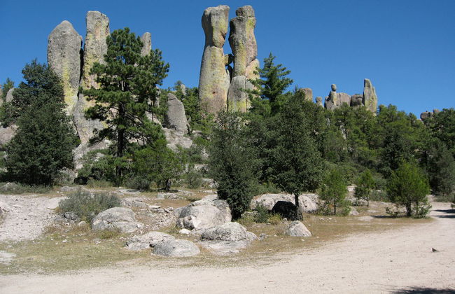 Creel Tour - Photo 5