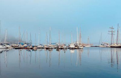 Island View - Foto 23