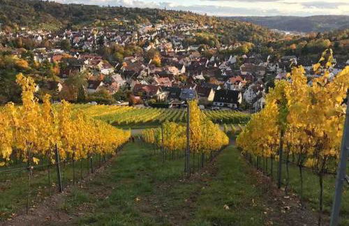 3 Zimmer Neubauwohnung in der schwäbischen Toskana - Foto 48