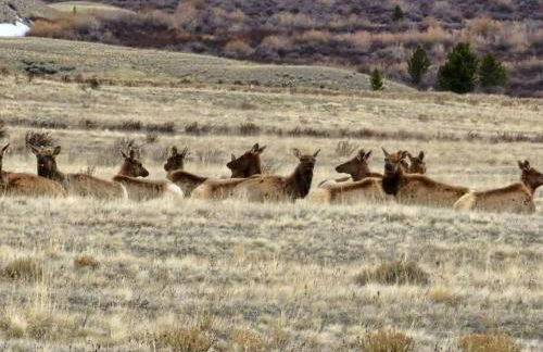 Moose Mtn Lodge/Luxury Cabin/Hot Tub/Fireplace - Foto 45