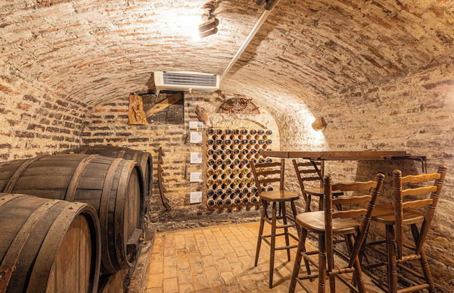 Podhamer Wellness Vineyard Cottages - Foto 23