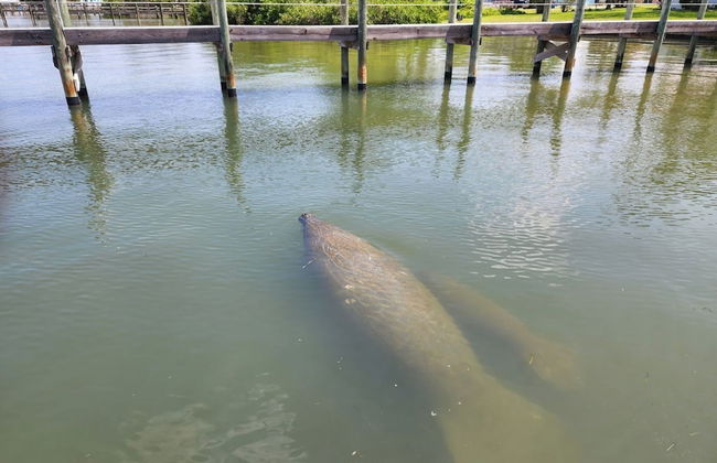 Paradise Cove at Lemon Bay - Foto 73