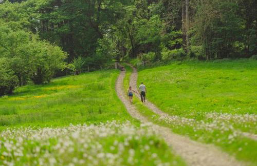 Marrington Lodge - Foto 10