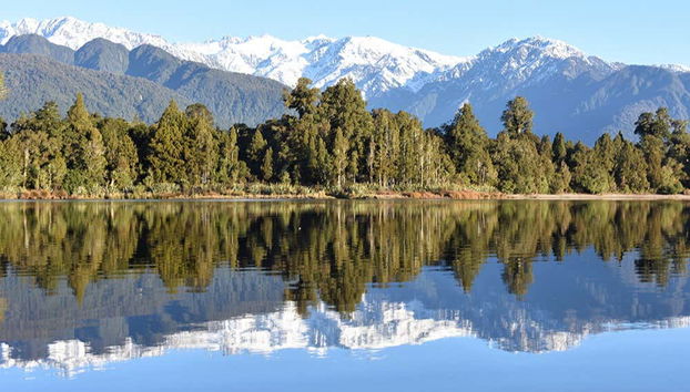 Immergez-vous dans la nature