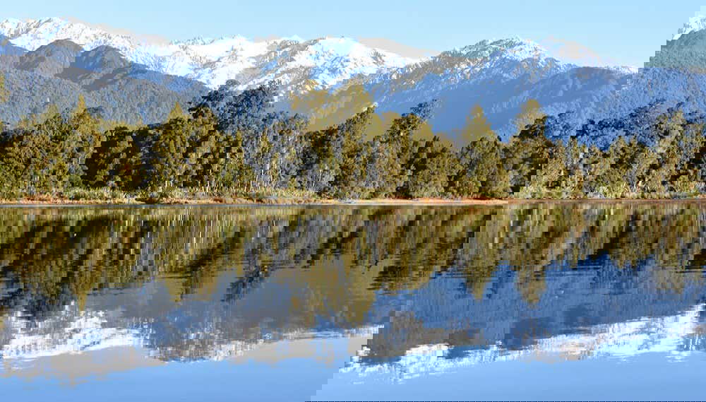 Sumergíos en la naturaleza