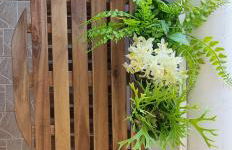 Sogno Greco - Foto 18