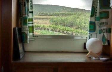 Artsy Airstream for a California Glamping Weekend near San Diego - Foto 36