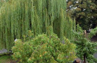 Grey 5 Zgorzelec - Görlitz - Foto 27