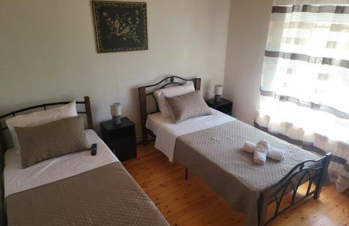 Αυλή της Ελιάς - Foto 9