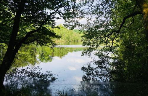 L’Atelier de Gustave - Foto 51