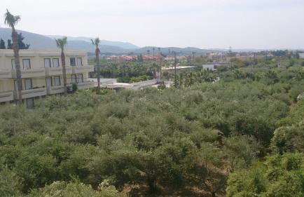 Sagittarius Apartments - Foto 17