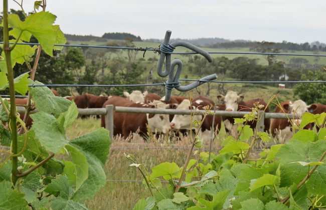 BIG4 Kelso Sands Holiday Park - Foto 29