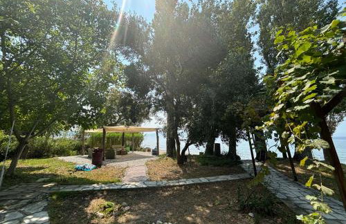 Ξενωνας Νιμπη - Photo 15