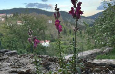 Πατρικό ολόκληρος ξενώνας entire stone guesthouse - Foto 71