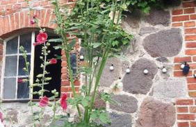 Große Ferienwohnung in Flecken Zechlin - Photo 42