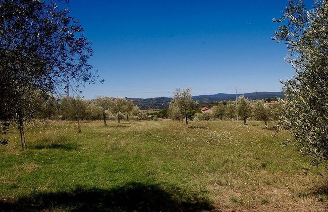 Bio Agriturismo La Spiga D'oro - Photo 36