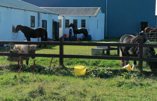 The Fisherman's Snug self catering North Uist - Foto 47