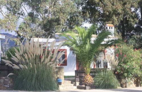 Molino El Mastral - Photo 57