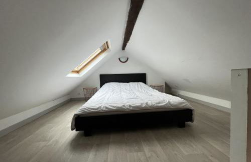 Amiens, sous les toits 4-6 pers - Foto 9