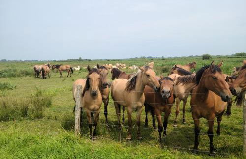 Gîte Les amoureux de la Baie - Foto 26