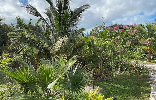 Atlantic View Luxury Villa with Pool - Foto 63