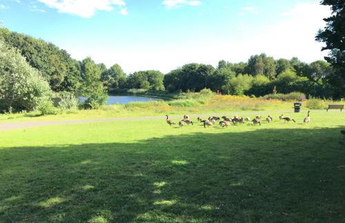 Lakeside View, Perton Village - Foto 14