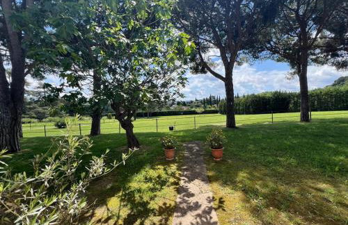 Le Mas Rose - Foto 9